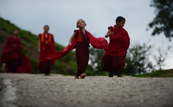 Một nụ cười trong đời